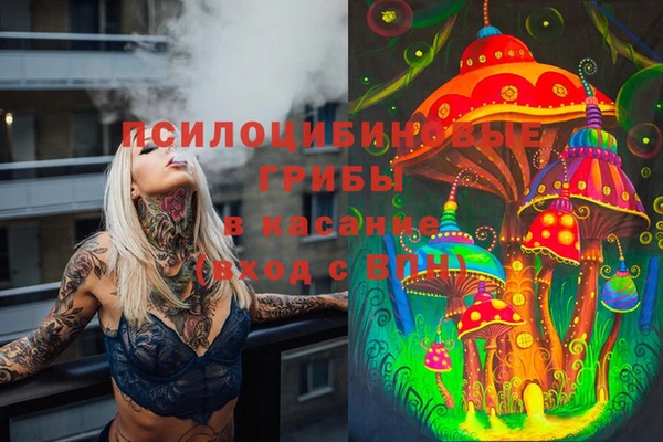 стаф Снежинск