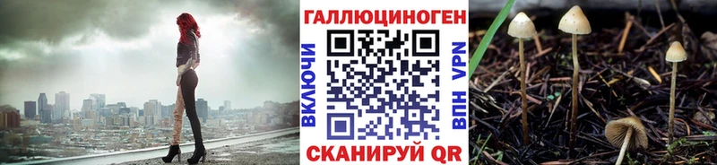 Псилоцибиновые грибы мицелий  Купить закладки  Дмитровск 