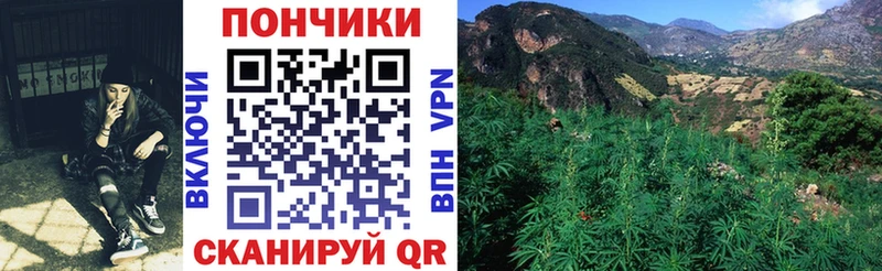 Каннабис OG Kush  Купить  Дмитровск 